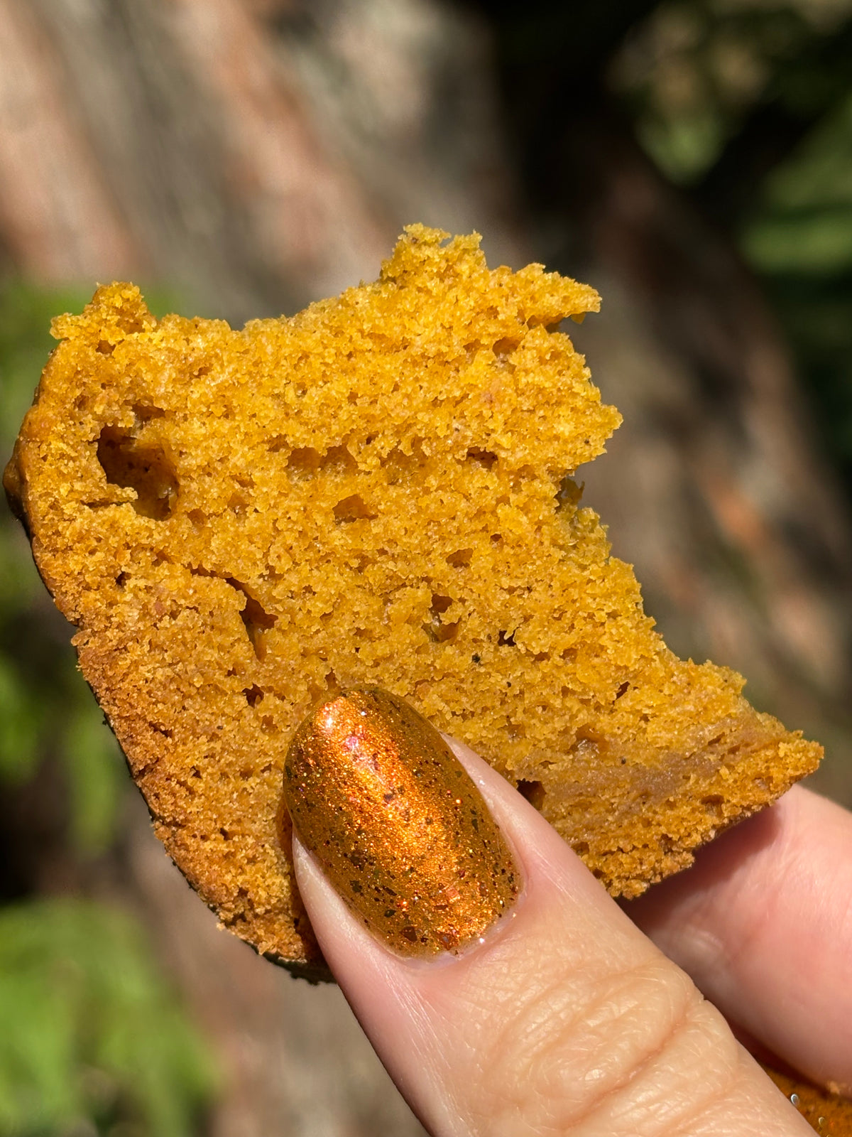 Pumpkin Bread