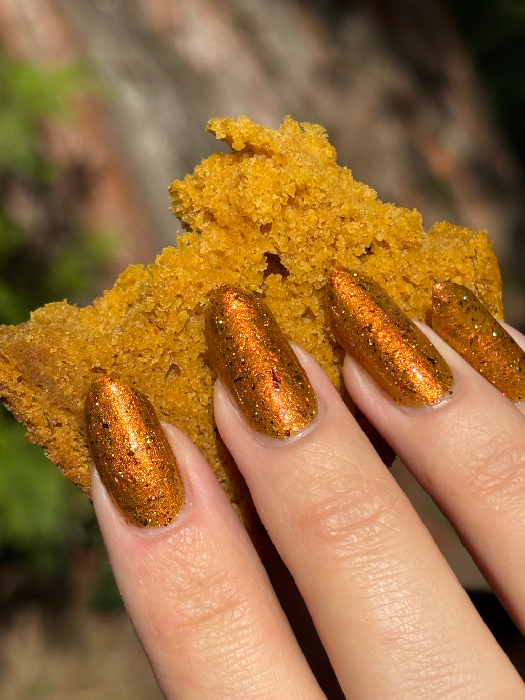 Pumpkin Bread